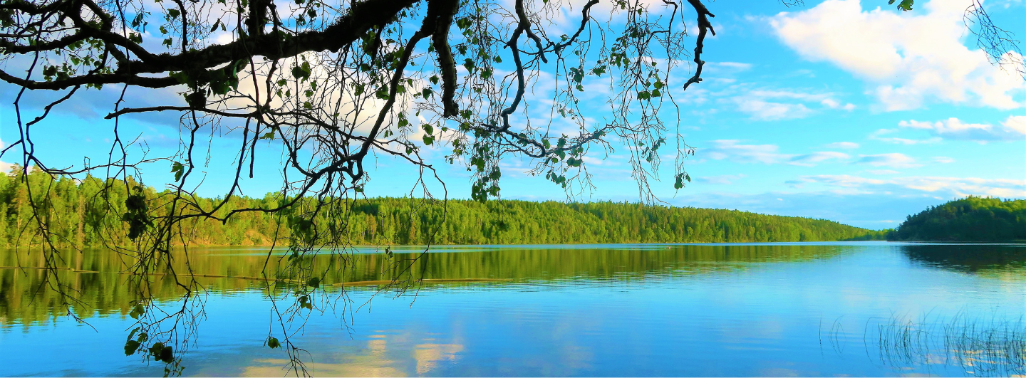 Photo of lake and blue skies for visual impact